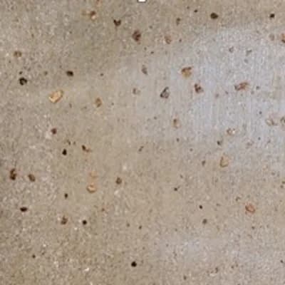 Non-Pasted Wallpaper Roll — Golden,Copper