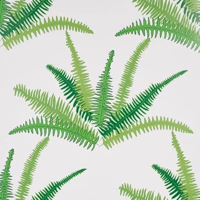 Schumacher x Cristina Buckley Canyon Ferns Wallpaper — Green
