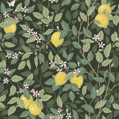 Boråstapeter Citronträd Wallpaper — Ivory,Leaf