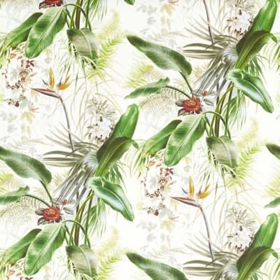 Paradise Row Wallpaper — Evergreen
