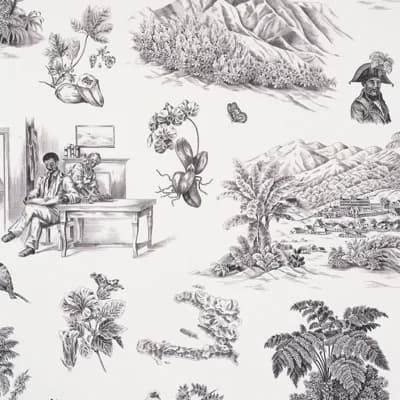 Schumacher x Victor Glemaud Toussaint Toile Wallpaper — Black,Ivory