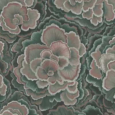 TRAMETES Wallpaper - Carex 9'10" - full height wallpaper — Hosta