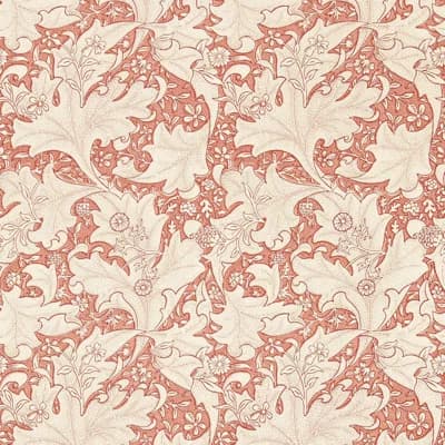 Wallflower Wallpaper Roll — Chrysanthemum Pink