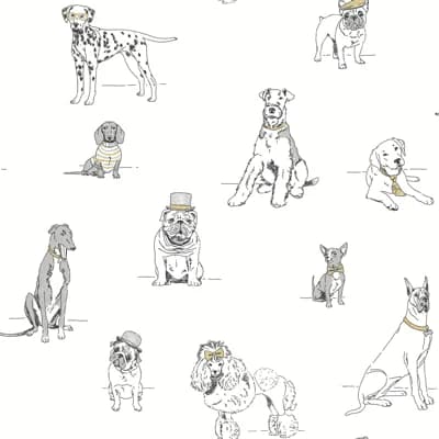 Peel & Stick Matte Wallpaper Roll — Silver;Gold