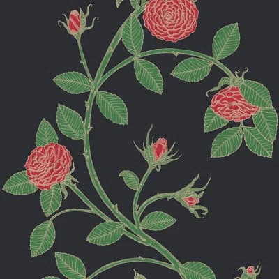 Elva Rose — Bella