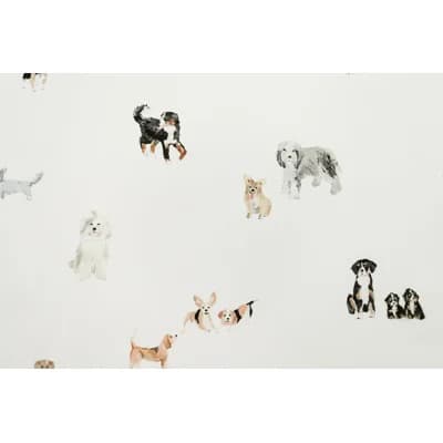 Matte Wall Mural — Black;Brown;White