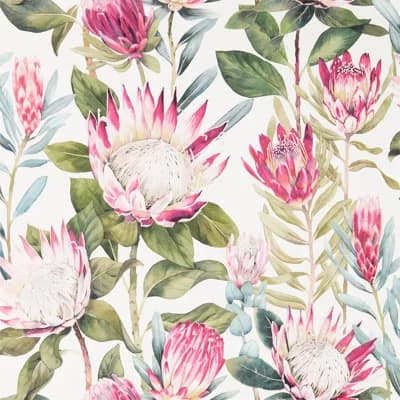 King Protea Wallpaper — Rhodera,Cream