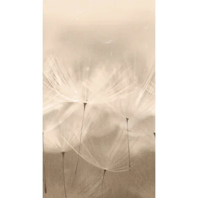 Orom II Collection Dandelion 62.5-inches wide x 9.18-feet high 3-panel Wall Mural — Beige