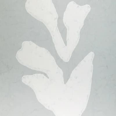 Climbing Leaves Wp — Haze