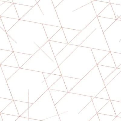 Geo Geometric Vinyl Non-Pasted Matte Wallpaper Roll by Jamie Graney — White,Rose Gold Leaf