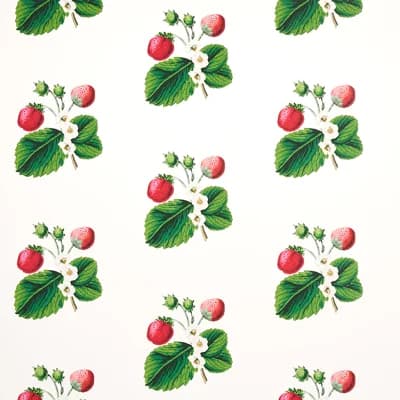 Schumacher x Johnson Hartig Strawberry Hill Wallpaper — White