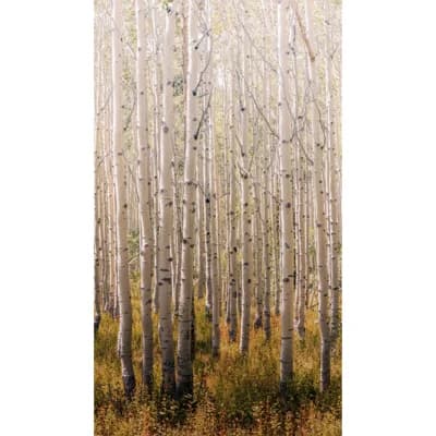 Orom II Collection Tall Trees 62.5-inches wide x 9.18-feet high 3-panel Wall Mural — Gold