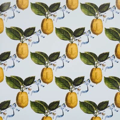 Schumacher x Johnson Hartig Le Citron Wallpaper — Sky