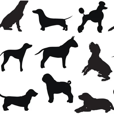Dog Days Non-Pasted Matte Wallpaper Roll by Jamie Graney — Black,White