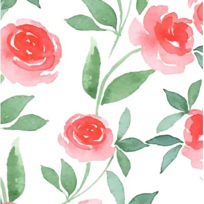 Pink Rose Watercolor Floral Fabric Non-Pasted Matte Wallpaper Roll by Jamie Graney — Pink,White