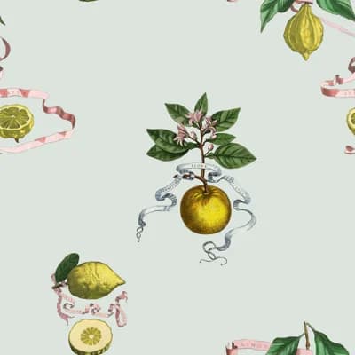 Lemon Toile 33' L x 20.5" W Wallpaper Roll — Teal