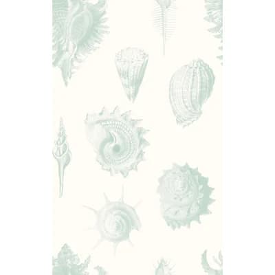 Shell Fossils 33' L x 20.5" W  Wallpaper Roll — Green