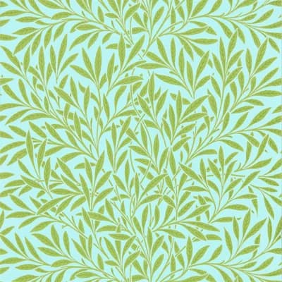 Willow Wallpaper — Sky,Leaf