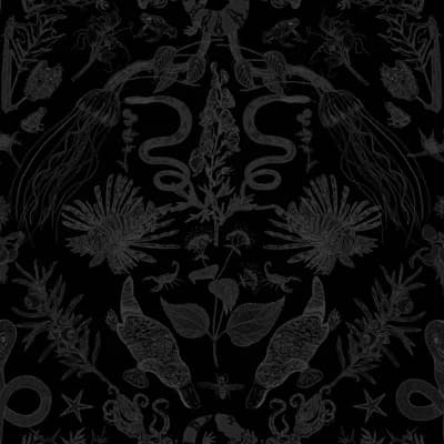 Critters Wallpaper — Black,Gray