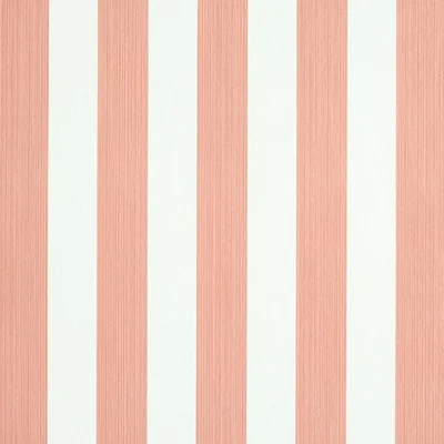 Edwin Stripe Medium Wallpaper — Pink