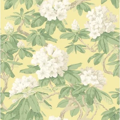 Bourlie Floral Non-Pasted Wallpaper Roll — Pale Lemon