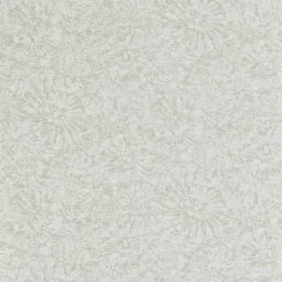 Ammonite Wallpaper — Pumice