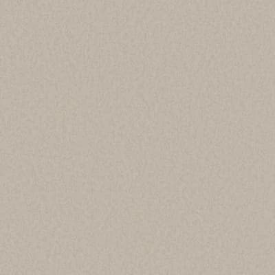 Designer Colors Fine Texture Wallpaper Roll — Beige