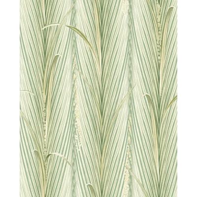 Matte Wallpaper Roll — Green,Gray