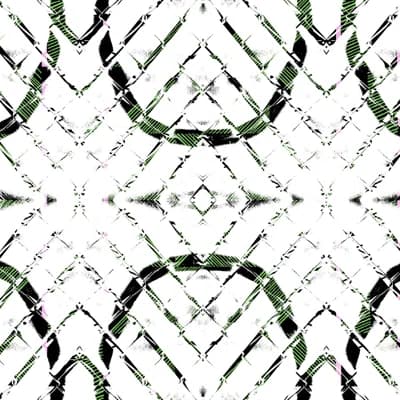 Diamond Link — Parakeet