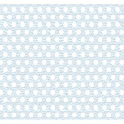 Cabana Wicker — Carolina Blue,Eggshell