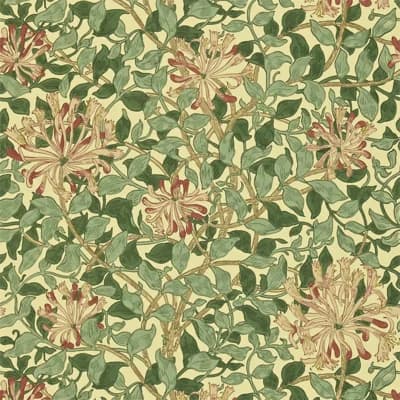 Honeysuckle Wallpaper — Green,Coral,Pink
