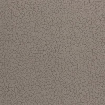 Cracked Earth Wallpaper — Gobi