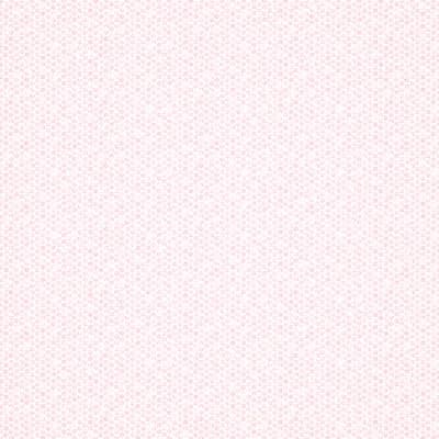 Ditsy Daisy Wallpaper — Pink,Ivory