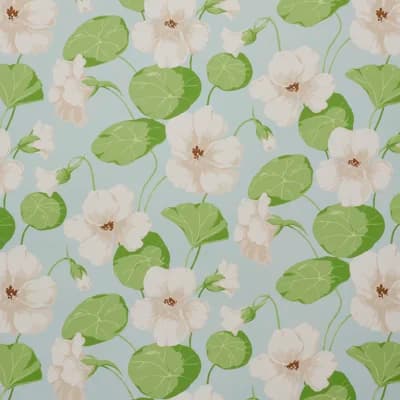 Nasturtium Wallpaper — Sky