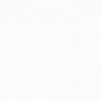 Flora Collection Shimmery Plain Wallpaper Roll — White