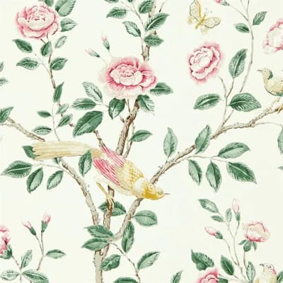 Andhara Wallpaper — Rose,Cream