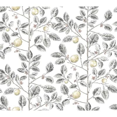 Toiles Resource Library Floral Non-Pasted Wallpaper Roll — Black
