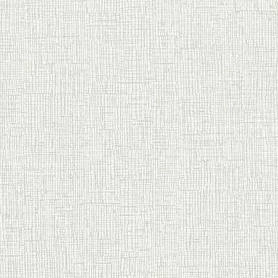 Accent Wallpaper — Dove