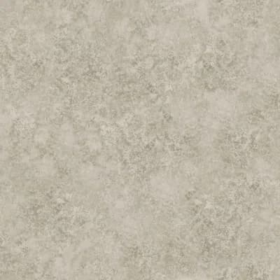 Non-Pasted Matte Wallpaper Roll — Warm Gilver