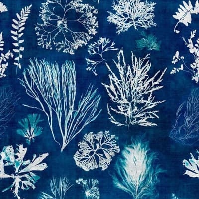 Atoll Abstract Non-Pasted Matte Wallpaper Roll — Blue,White