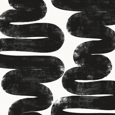 16.5' L x 20.5" W Peel and Stick Wallpaper Roll — Black,White
