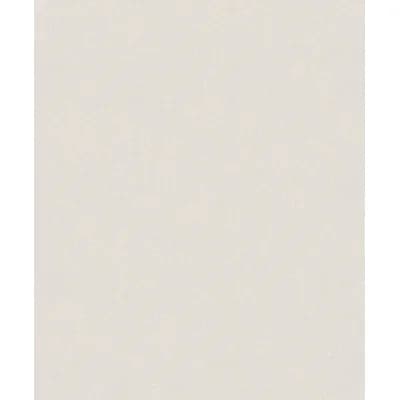 The Textures Book Plain Dapple Shimmer 33' L X 21" W Wallpaper Roll — Pearl