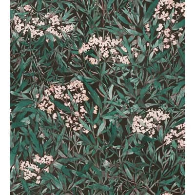 Special Edition Floral Matte Wallpaper Roll — Black;Green;Pink