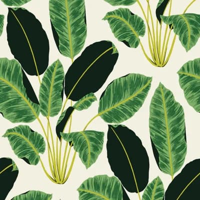 Crowley 33' L x 20.5" W Peel and Stick Wallpaper Roll — Green,Cream