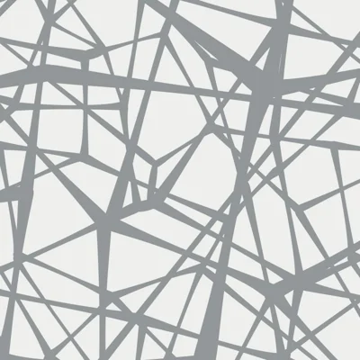 Web Geometric Vinyl Non-Pasted Matte Wallpaper Roll by Jamie Graney — Gray,Light Gray
