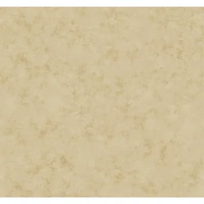 Antonina Vella Kashmir Abstract Non-Pasted Wallpaper Double Roll — Khaki