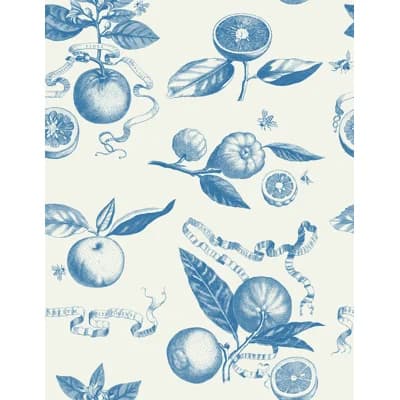 Citrus Toile 33' L x 20.5" W Wallpaper Roll — Blue