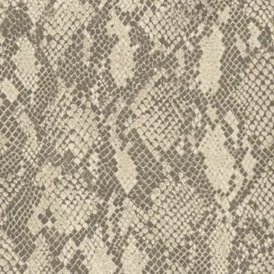 COBRA Wallpaper - Phlox 9'10" - full height wallpaper — Phlox
