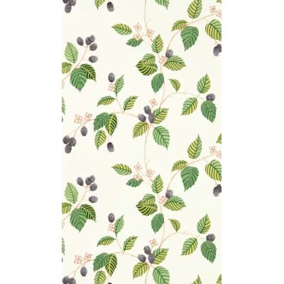 Rubus Wallpaper — Blackberry
